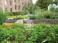 Details im Pflanzgarten