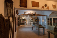 Besucher:innen in der Kunst- und Naturalienkammer