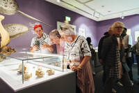 Besucher:innen in der Jahresausstellung 2025 »300 Jahre Neugier«