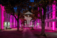 Der illuminierte Lindenhof