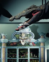 Das Krokodil in der Kunst- und Naturalienkammer