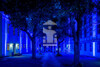 Der illuminierte Lindenhof