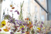 getrocknete Blumen