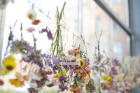 getrocknete Blumen