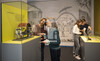 300 Jahre Neugier - Aufbau Jahresausstellung 2025