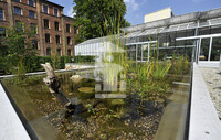 Der Teich im Pflanzgarten